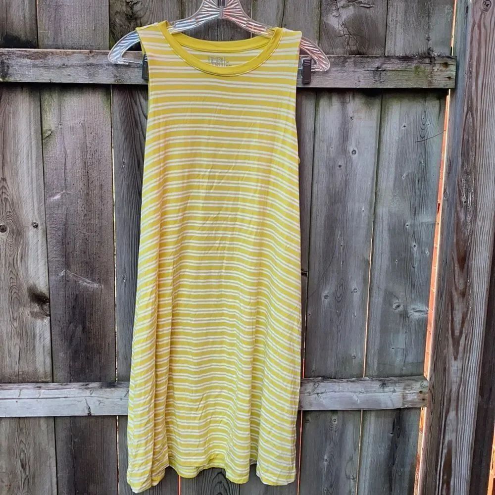 *Lot of 2* Time and Tru shift dresses sz. M